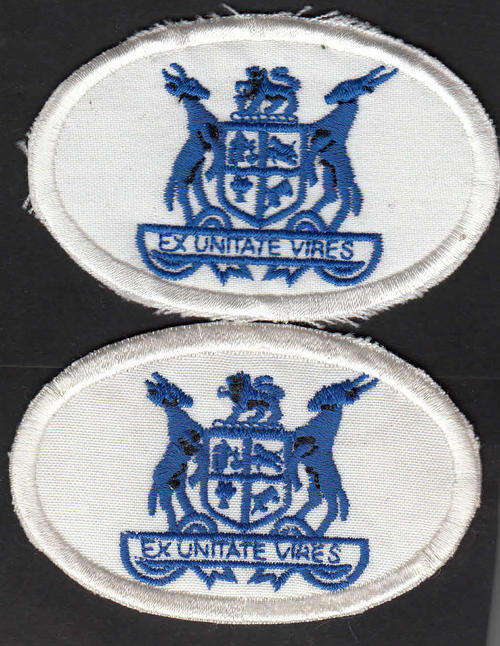 WARRANT OFFICER RANK CLASS 11 BADGES