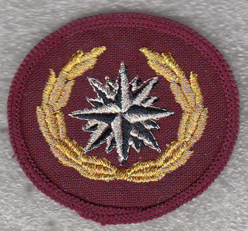 SPECIAL F0RCES /RECCE BERET BADGE