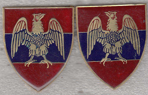 Gauteng Command Engineer Shoulder   Flash  Pair All Pins