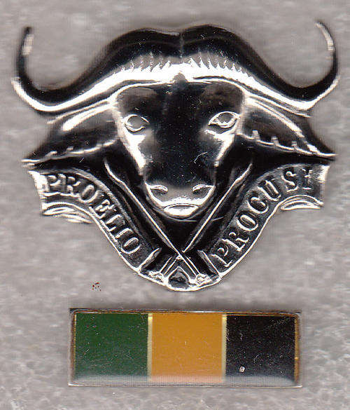 32 BATTALION BERET BADGE all pins