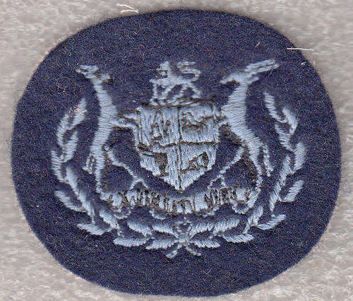 @@@ Crazy R2 Start Rank Badges @@@