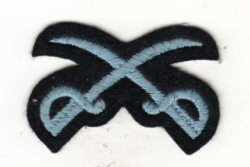 SAAF   AST  PT Instructor Tracksuit Badge Embroidered