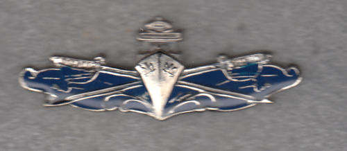 Executive Officer of the S,A, Navy Watch Keeping Officer all pins