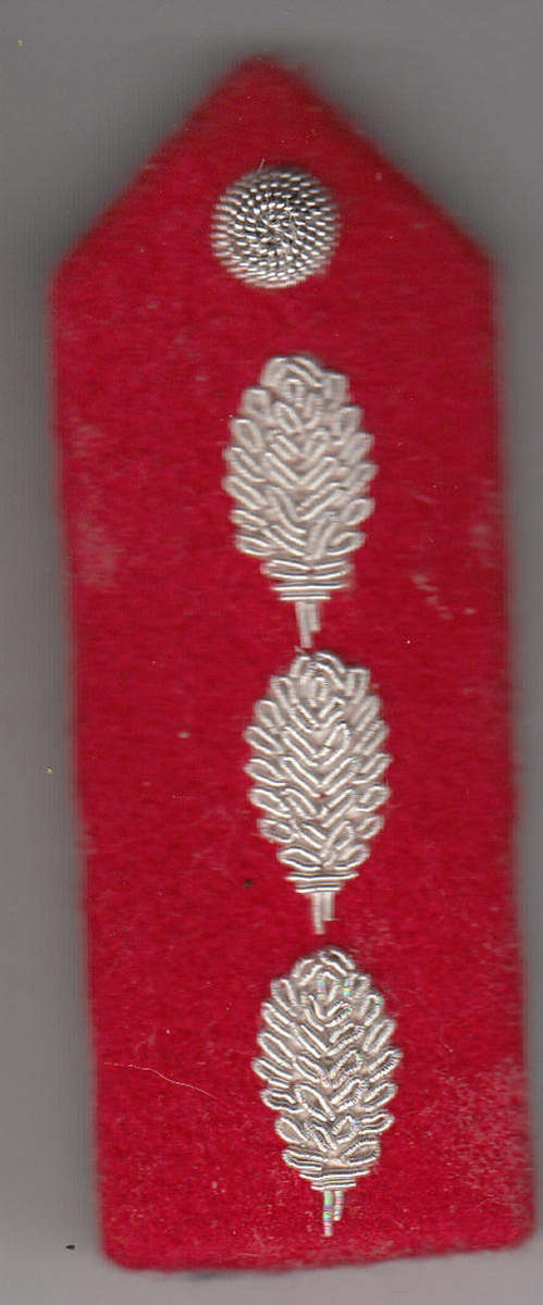 S.W.A.T.F.  General Officer Gorget Patch