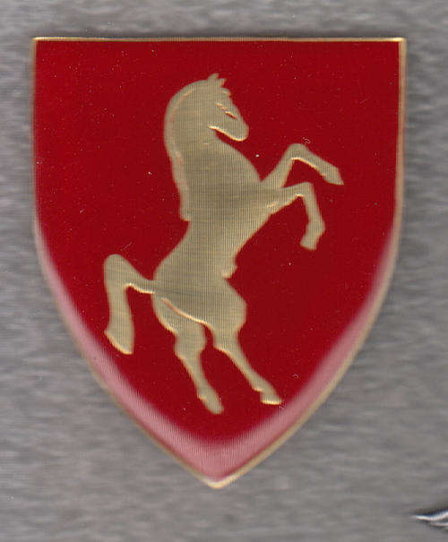 CAROLINA COMMANDO SHOULDER FLASH 3 PINS