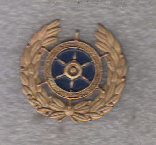 SA NAVY BADGE 2 PINS