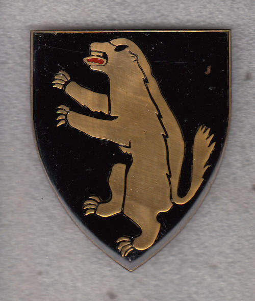 1 SA INFANTRY SHOULDER FLASH 3 PINS ORIGINAL