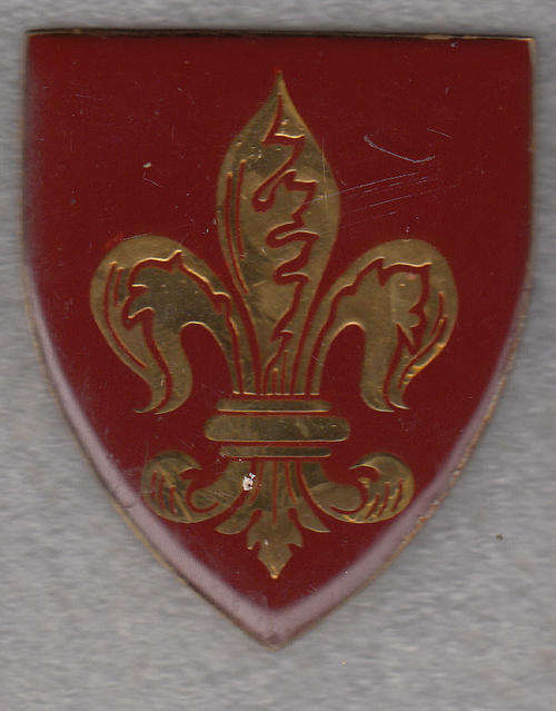 SWELLENDAM COMMANDO SHOULDER FLASH 3 PINS ORIGINAL