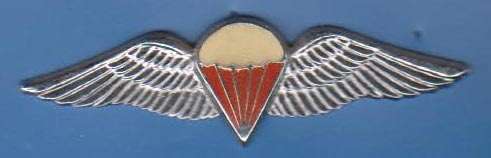 PARA INSTRUCTOR RED 2 PINS