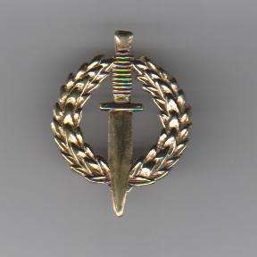SA SPECIAL FORCES OPERATORS BRASS BADGE 2 PINS