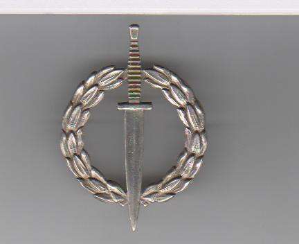 SA SPECIAL FORCES OPERATORS BADGE SILVER 2 PINS