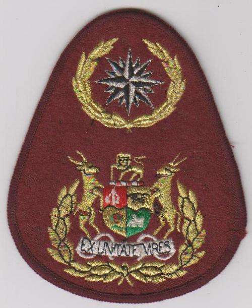 BADGE RSM SPECIAL FORCES NEVER ADOPT COPY