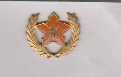 5 YEAR VOLUNTARY SERVICE BADGE 1980-2003