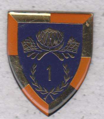 1 SPECIAL SERVICE BATTALION SHOULDER FLASH 3 PINS