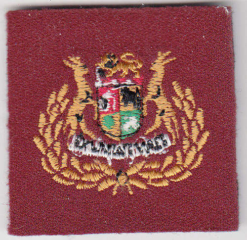 SERGEANT MAJOR CLASS  1 FIELD DRESS (MEDICAL)