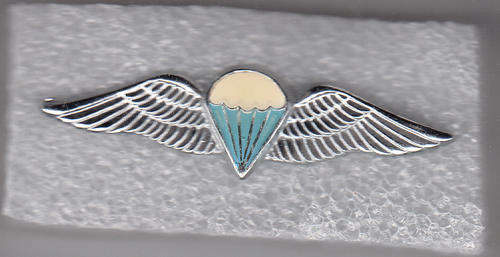 PARACHUTE WINGS DISPATCHER OR 50 JUMPS AND OVER 2 PINS