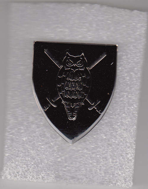 MILITARY INTELLIGENCE HQ SHOULDER FLASH 3 PINS