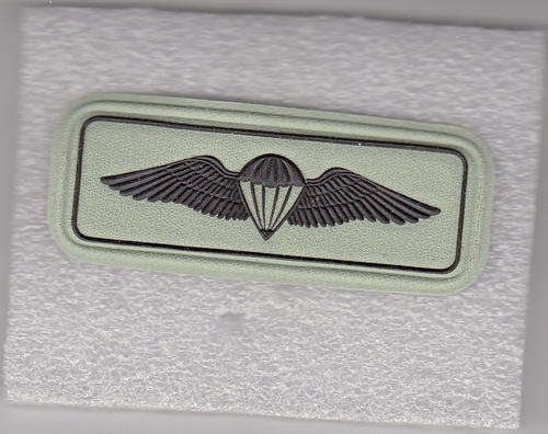 PARACHUTE WINGS FIELD DRESS