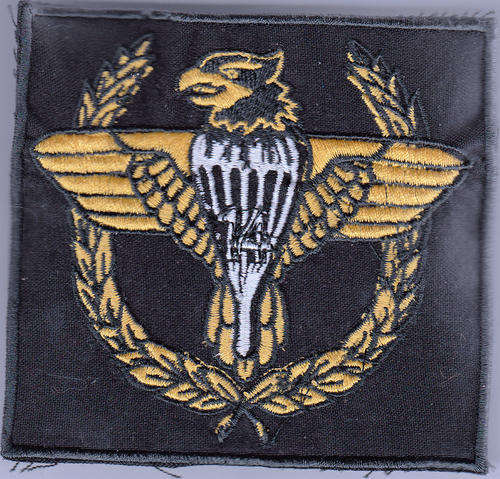 14 PARACHUTE BATTALION GROUP BLAZER BADGE