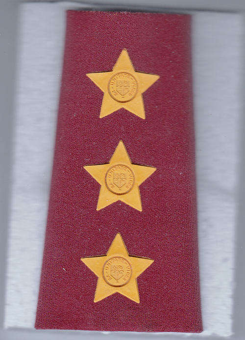 RANK BADGES FIELD DRESS CAPTAIN