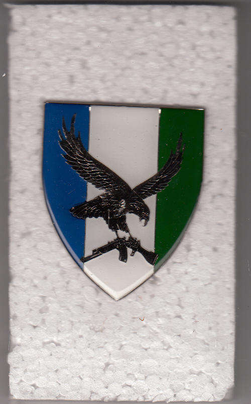 S W A 101 BATTALION RECCE COMP--SHOULDER FLASH 3 PINS