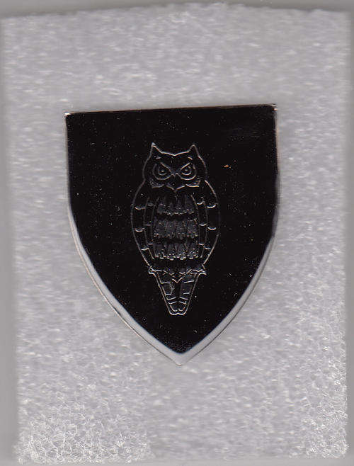 MILITARY INTELLIGENCE  GENERAL DIR  SHOULDER FLASH 3 PINS