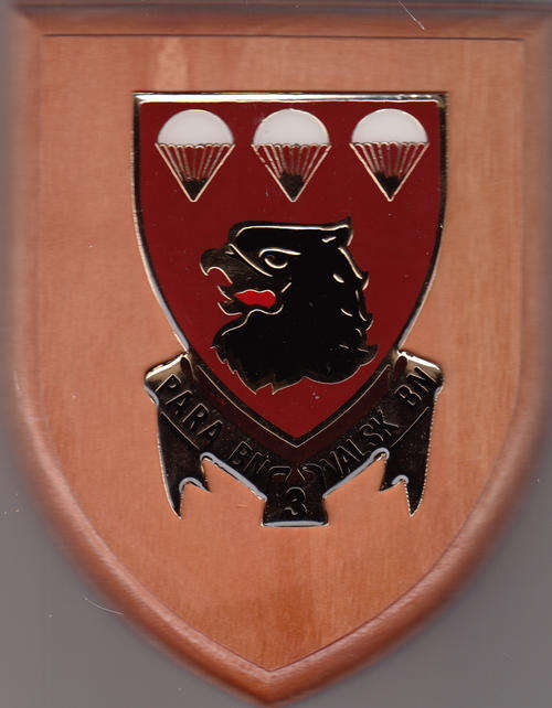 3 PARA BATTALION SHIELD