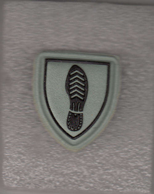 TRACKER INSTRUCTOR  FIELD DRESS 2 PINS