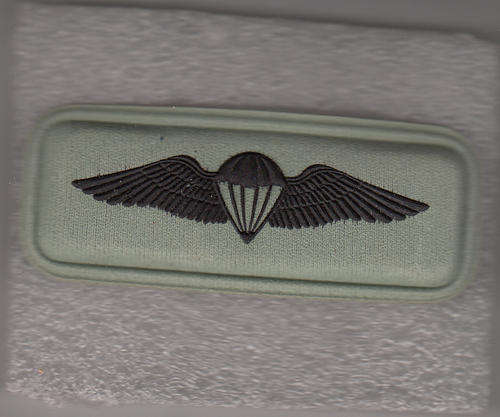 PARACHUTE WINGS FIELD DRESS 2 PINS RUBBERIZED