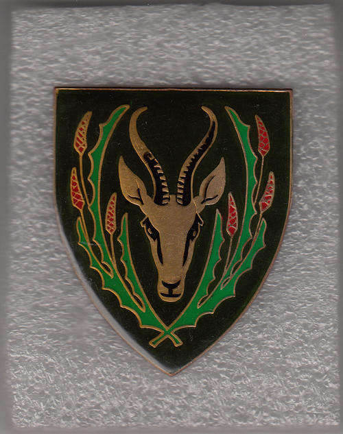 5 SA INFANTRY SHOULDER FLASH 3PINS original