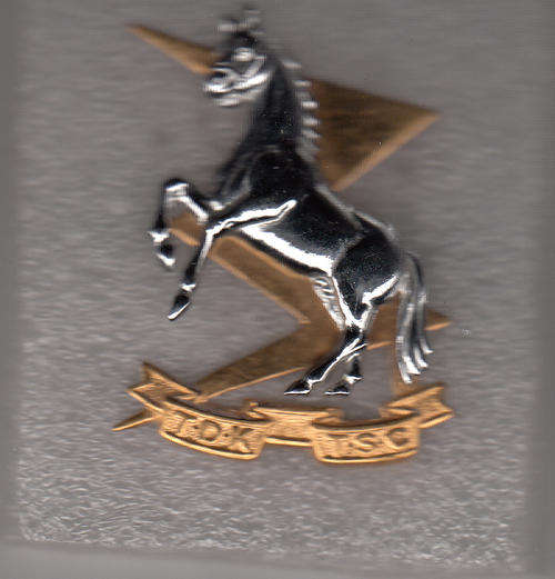 CAP BADGE SA TECHNICAL SERVICES ALL PINS