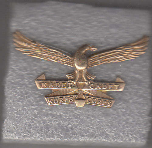 S.A.A.F. CADET CORPS ALL PINS