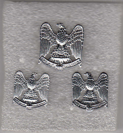 REGIMENT LOUW WEPENER CAP AND COLLAR BADGES ALL PINS