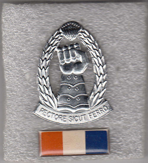 SA ARMOURED CORPS CAP BADGE ALL PINS