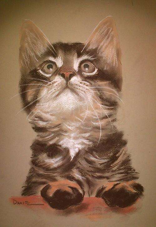 Who's there? Pastel artwork by Danie Cronje, unframed