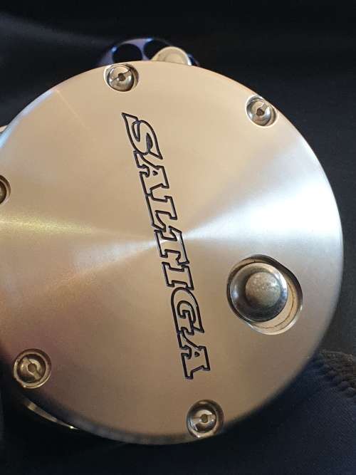 Daiwa Saltigo 50 HKP fishing reel