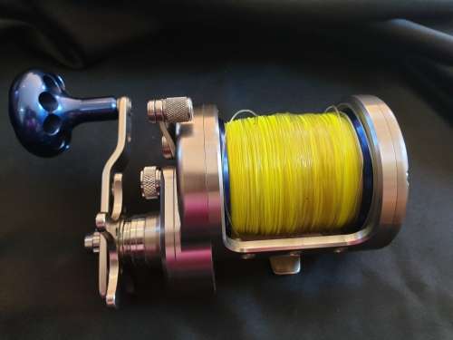 Daiwa Saltigo 50 HKP fishing reel