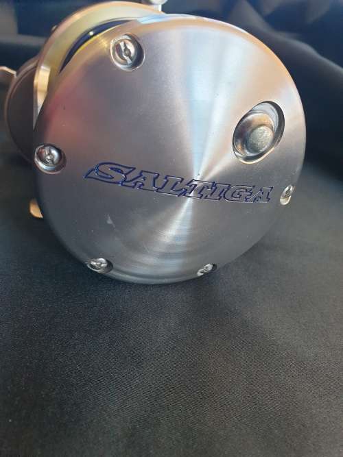 Daiwa Saltigo 50 HKP fishing reel