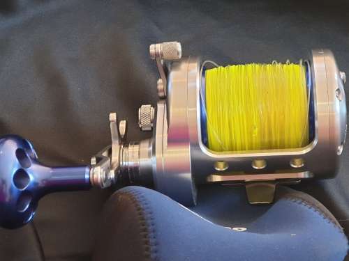 Daiwa Saltigo 50 HKP fishing reel