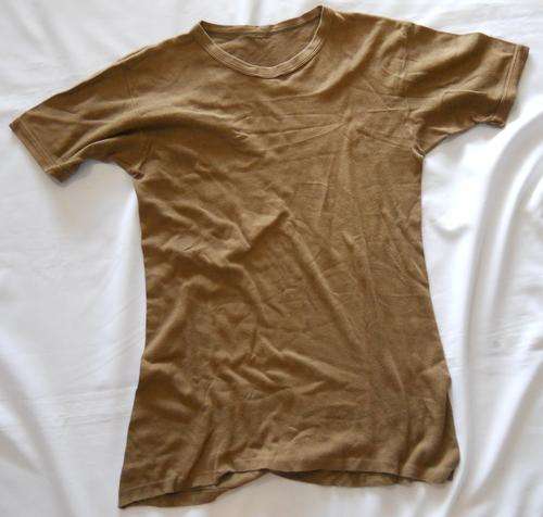 SADF -- NUTRIA BROWN T-SHIRT -- SIZE: LARGE -- BUSH WAR ERA