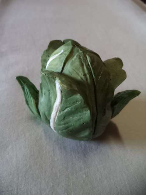 Cabbage houseing with mom and dad rabbit