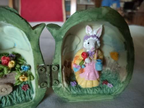 Cabbage houseing with mom and dad rabbit