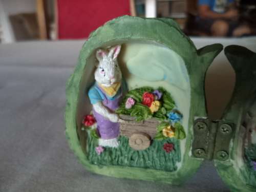 Cabbage houseing with mom and dad rabbit