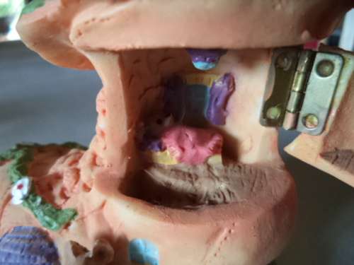 Little Boot with Mice