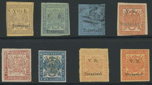 Transvaal  Selection. Faults - good lookers. High Cat: