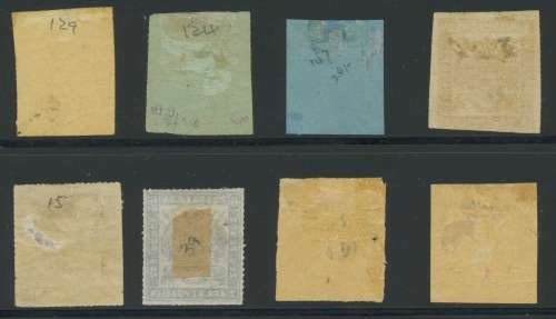 Transvaal  Selection. Faults - good lookers. High Cat: