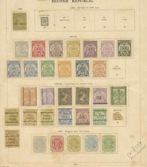 Transvaal selection. High cat