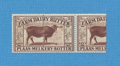 South Africa Farm Dairy Levy UMM