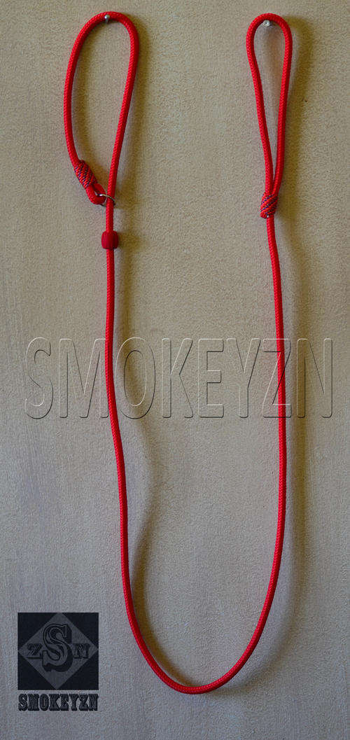 Dog rope slip Lead - red