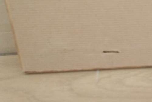 A Beautiful Vintage Piece of Hand Embroidery of a  Zebra under tree